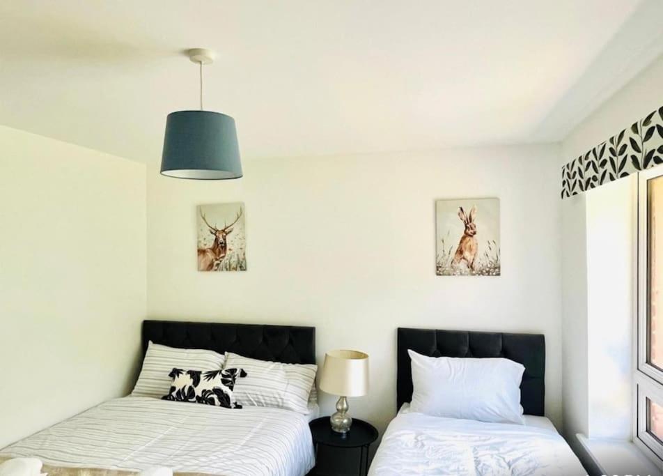 Ashford Retreat - Luxury Home With Double Parking 외부 사진