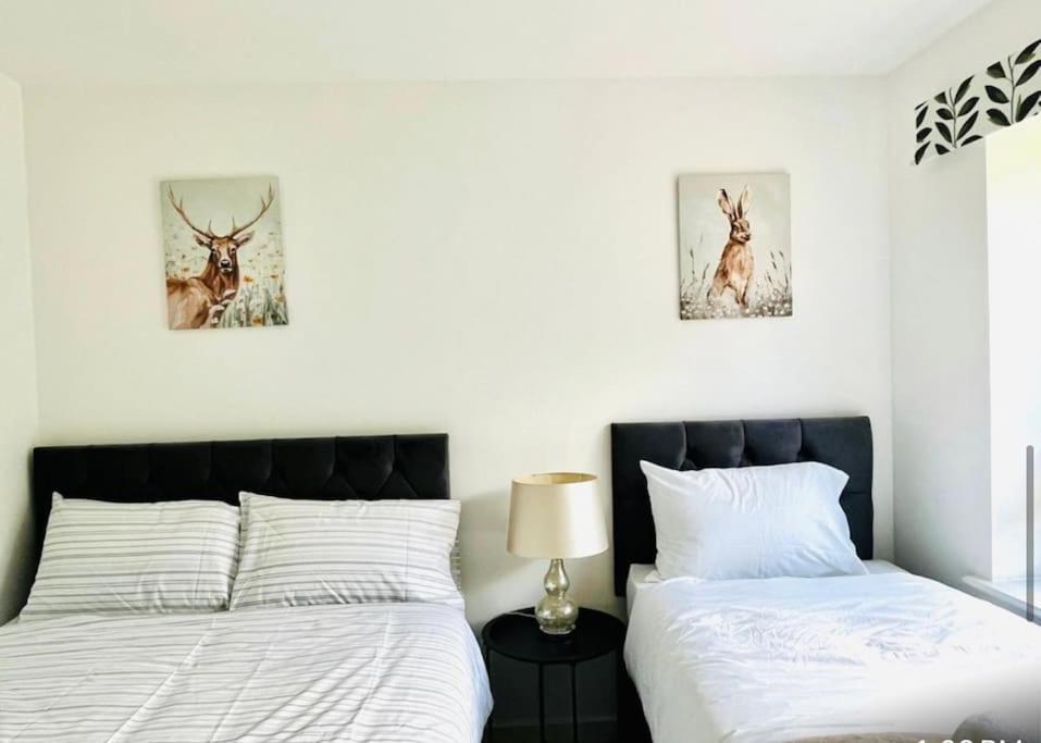 Ashford Retreat - Luxury Home With Double Parking 외부 사진